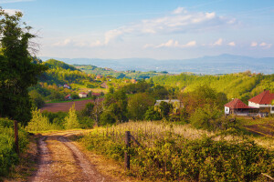 Ko su reprezentativci Srbije koji potiču sa sela - jedan je odrastao u BiH?