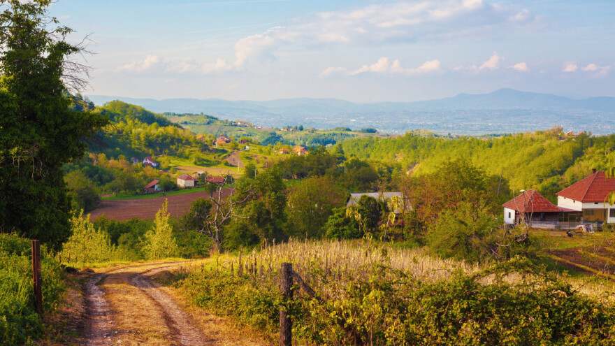 Ko su reprezentativci Srbije koji potiču sa sela - jedan je odrastao u BiH?