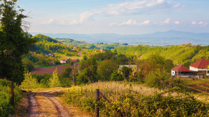 Prijavio hektar pod šljivom, stabla ni na vidiku