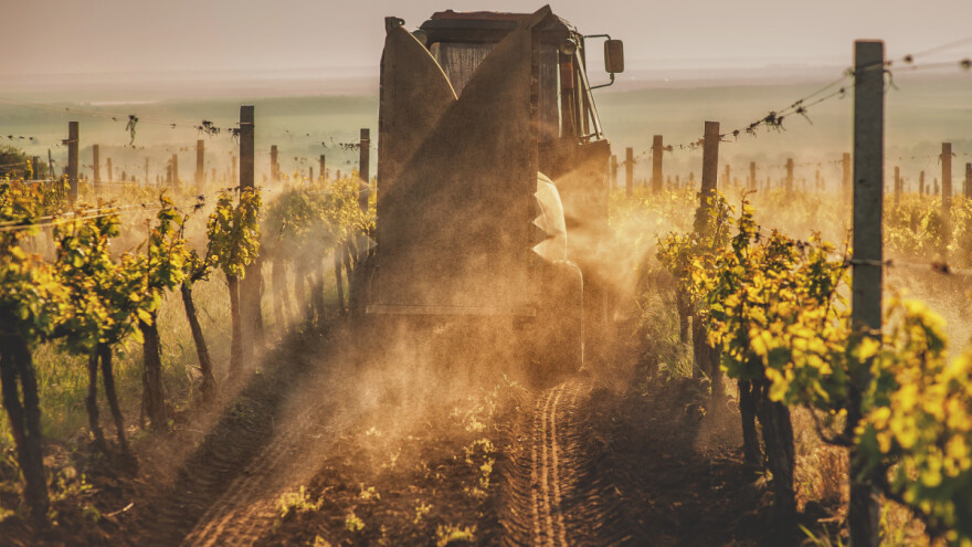 EU strategija smanjenja uporabe pesticida najviše će pogoditi vinogradarstvo?