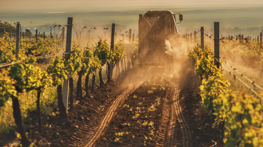 Važnost i način jesenje obrade zemljišta u vinogradu