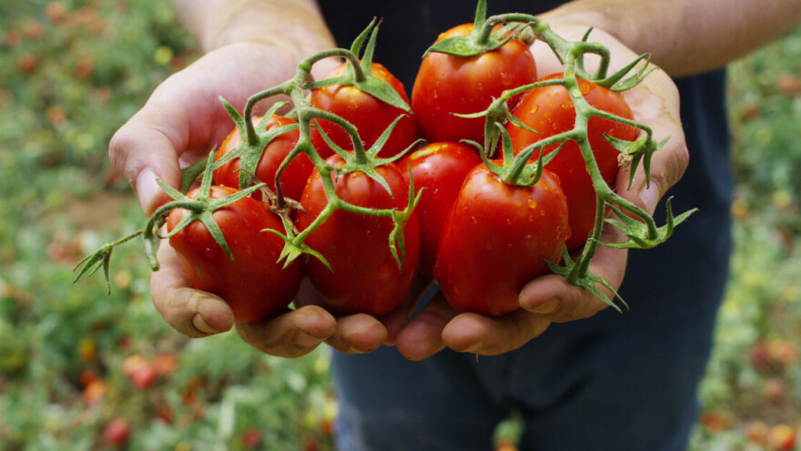EP: Bogatim multinacionalnim korporacijama ne treba dopustiti patentiranje prirodnog života