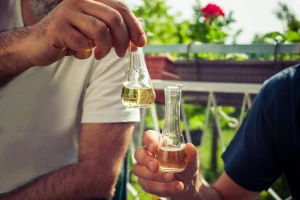 Šta je loza, a šta komovica... 5 stvari koje milenijalci moraju naučiti o rakiji prije pijenja
