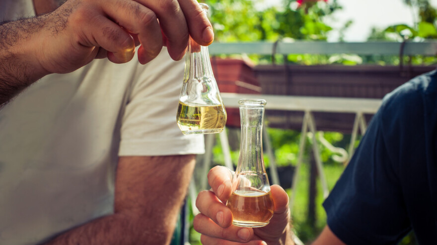 Šta je loza, a šta komovica... 5 stvari koje milenijalci moraju naučiti o rakiji prije pijenja