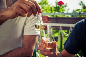 Što je loza, a što komovica... 5 stvari koje milenijalci moraju naučiti o rakiji prije pijenja