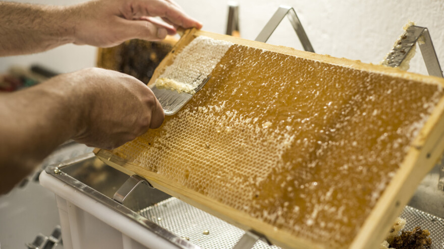 Morao da baci četiri tone meda zbog glifosata - sada traži odštetu