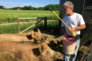 EU povjerenik za poljoprivredu tvitovima se zamjerio farmerima? Koga on štiti?