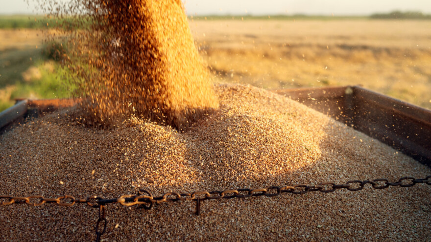 Cem Özdemir: Ograničavanje izvoza hrane nije odgovor na rastuće cijene