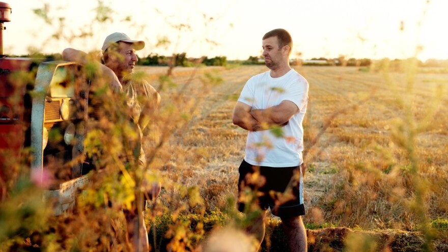 Gdje se slonovi igraju, miševi stradaju - organizacije proizvođača, kao rješenje?