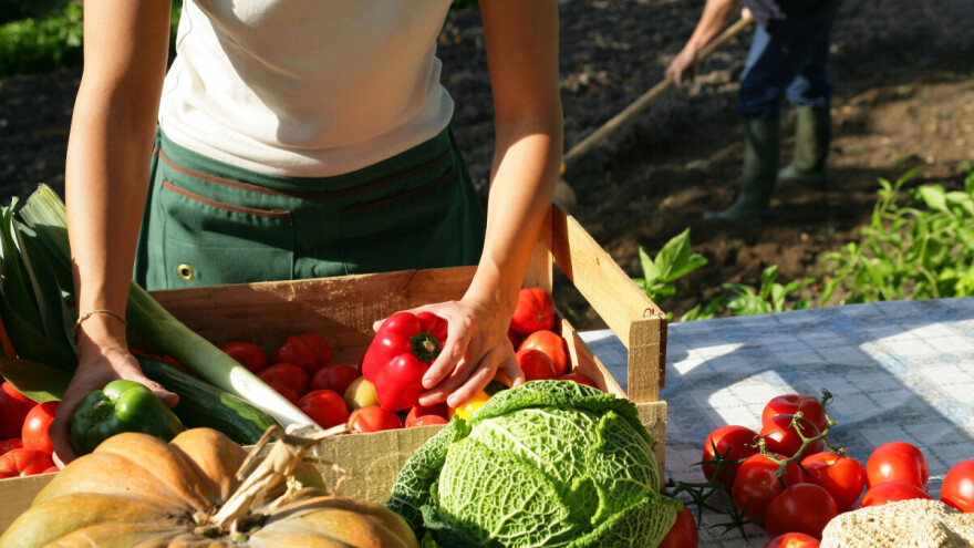 Pržit će ove sedmice: Vani radite ujutro ili navečer