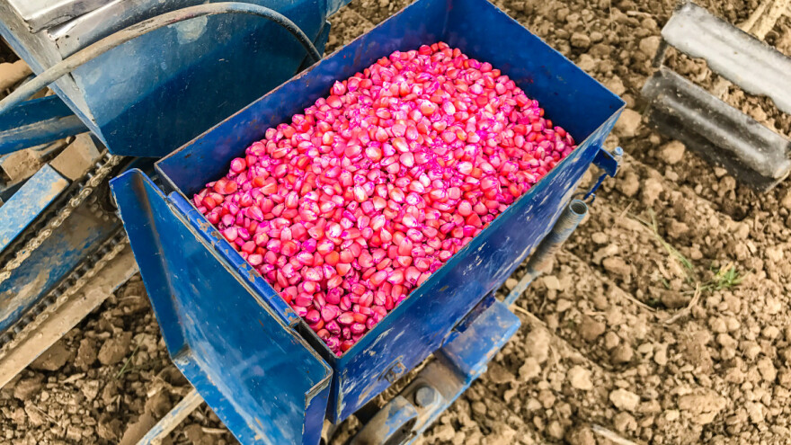 Nabavka semenskog materijala: Novine za kupce?