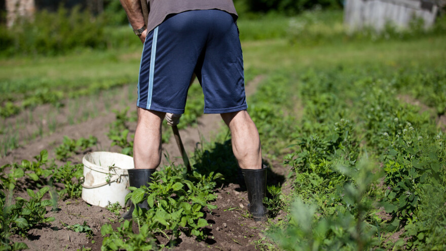 Koje poslove u vrtu obaviti nakon kiše?