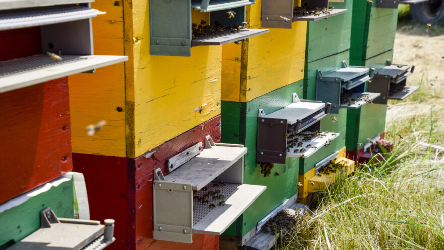 Srednjoškolci u Beogradu osmislili ekološku antivaroznu košnicu