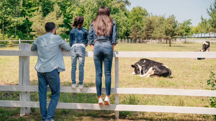 Raspisan konkurs za podršku mladima u selima u Vojvodini