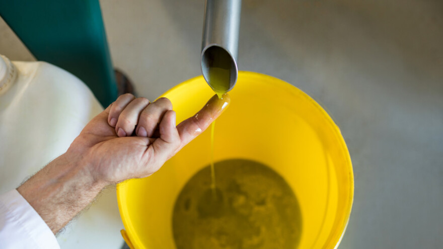 Ko proizvodi najbolje maslinovo ulje saznat ćemo na "Danima masline 2022"