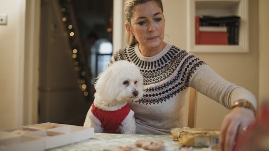 Miline keksiće, koliko su ukusni vlasnici kradu od svojih pasa