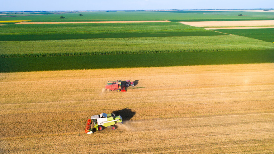 Prognoza: Više ratarskih kultura, a manje voća - šta se očekuje od proizvodnje EU?