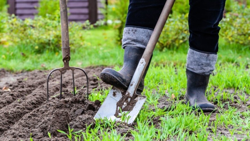 Koji poljoprivredni radovi se obavljaju u studenom?