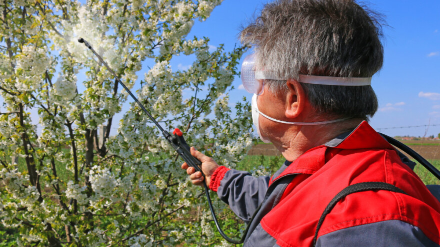 Varljivi april donosi sunce, mraz i kišu - sve do kraja sedmice