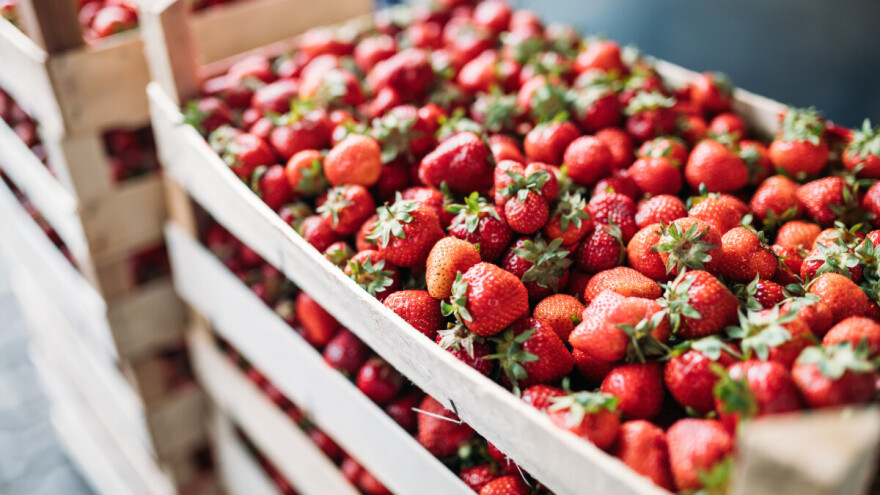 Šesti put "pada" pošiljka jagoda iz Albanije na bh. granici