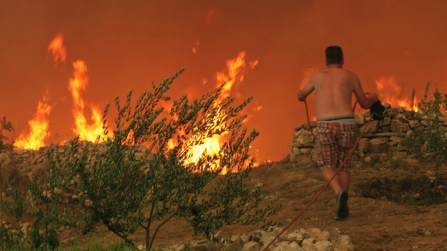 Osvrni se i spasi šumu! Vidiš požar? Odmah nazovi 193 ili 112!