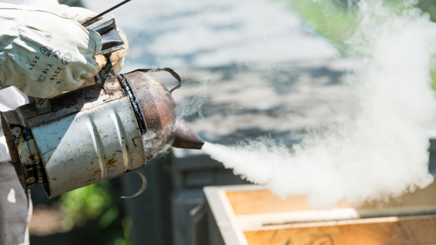 Dimljenje košnice olakšava rad pčelaru - kako ga obaviti?