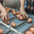 Konzumna jaja kod nas skuplja od prosječne cijene u EU?