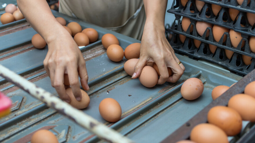 Rast cena u poljoprivredi širom EU - u Mađarskoj najveća poskupljenja, a ko je pošteđen?