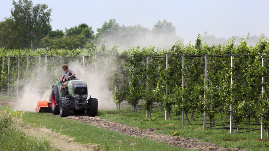 S tržišta se povlače i četiri insekticida na osnovi djelatnih tvari spinetoram i spirotetramat