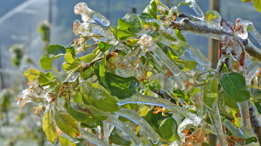 Prevrtljivi mart ponovo donosi mraz i minuse