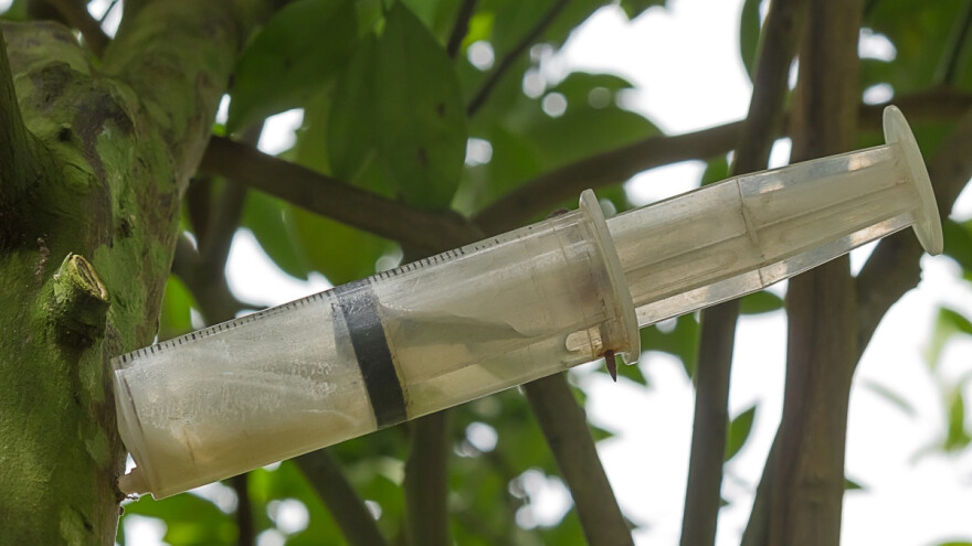 Injekcija za voćna stabla - alternativa klasičnim pesticidima?