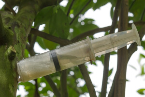 Injekcija za voćna stabla - alternativa klasičnim pesticidima?