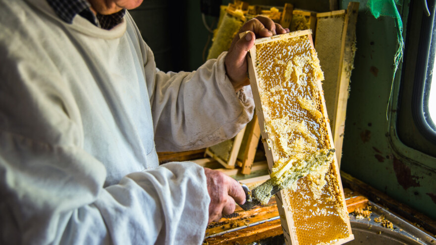 Isplaćeno više od milion maraka pčelarima u RS