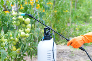 Pala prodaja pesticida u EU - u kojim su državama najviše kupovani?