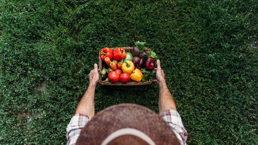 Uskoro 3. Dani poljoprivrede, ribarstva i šumarstva