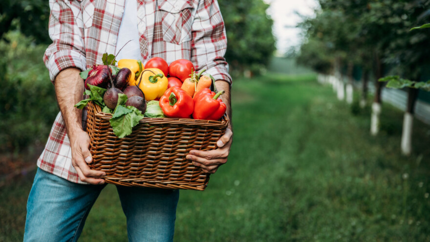 27 prijavljenih ulazi u utrku za titulu najboljeg mladog hrvatskog poljoprivrednika/cu