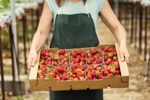 100 posto zaštićen EU farmer? Na snazi nova pravila za nepoštene trgovce