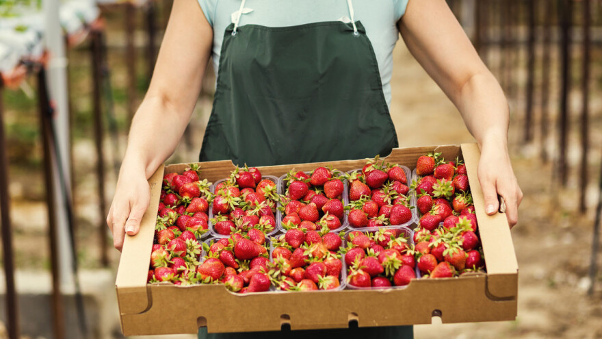 100 posto zaštićen EU farmer? Na snazi nova pravila za nepoštene trgovce