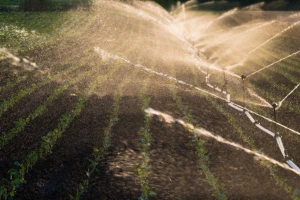 Rebalansom pokrajinskog budžeta za navodnjavanje 20.000 ha