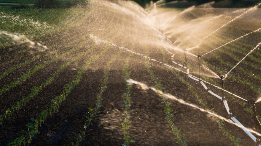 Rebalansom pokrajinskog budžeta za navodnjavanje 20.000 ha