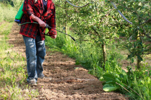 Zabranjuju prodaju dva herbicida na bazi glifosata - Syngenta će se žaliti