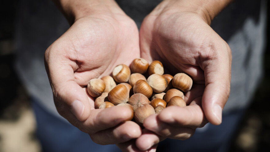 Proizvođači lješnjaka, dođite na 1. Konvenciju u Đakovo!