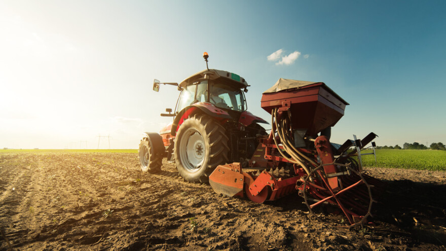 Male količine vlage neće negativno uticati na nicanje pšenice?