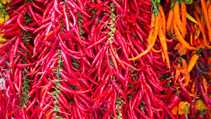 Kada brati papriku za sušenje i kako ju najbolje osušiti