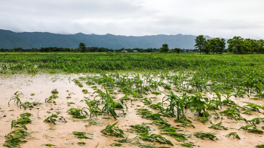 Gubici u poljoprivredi: Koliko nas koštaju katastrofe?
