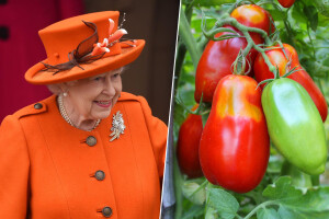 Kraljica Elizabeta se "bacila" u biznis proizvodnje kečapa i smeđeg umaka