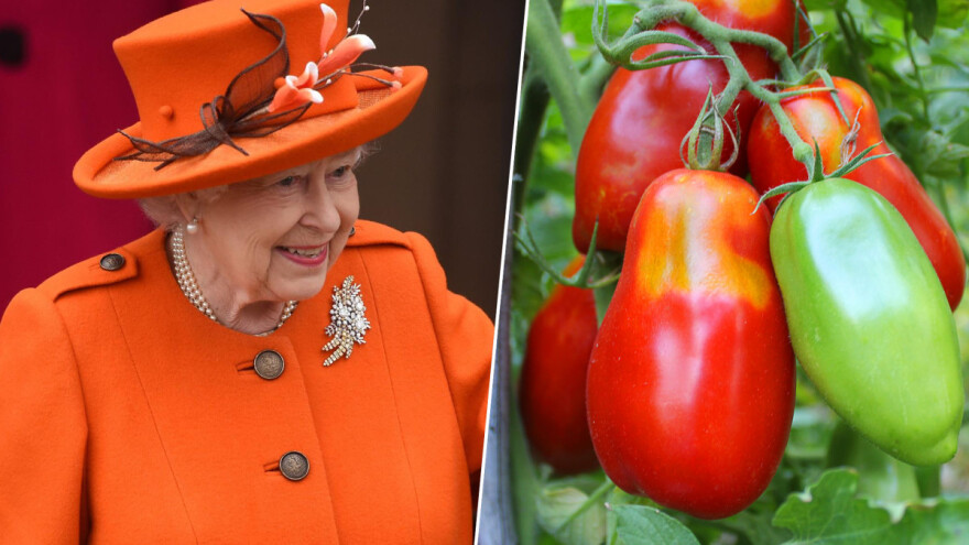 Kraljica Elizabeta se "bacila" u biznis proizvodnje kečapa i smeđeg umaka