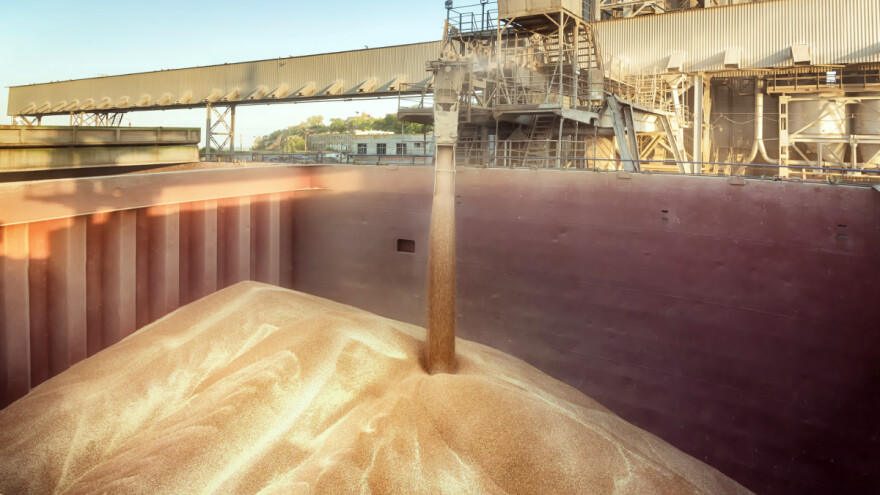 Loša kvaliteta pšenice - kako se kreću cijene na terminskim burzama?