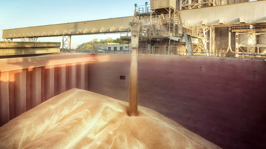 Šef UN-a će otkriti pregovore o izvozu ukrajinskih žitrarica i ruskog i beloruskog đubriva?