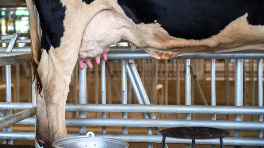 Usvojena Strategija razvoja poljoprivrede RS, šta nam donosi?